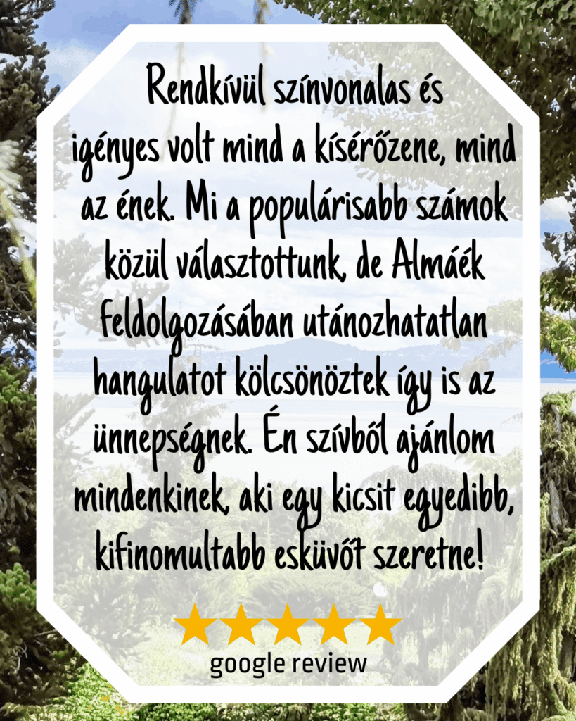 almacoustic-duo-google-review