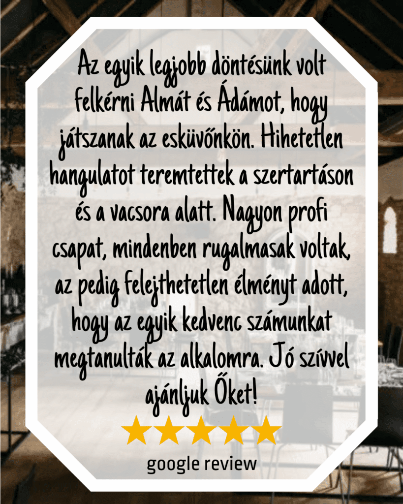 almacoustic-duo-google-review