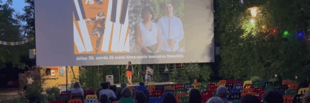 AlmAcoustic Duo concert during performance - How to choose a musician: Considerations for choosing a professional wedding musician